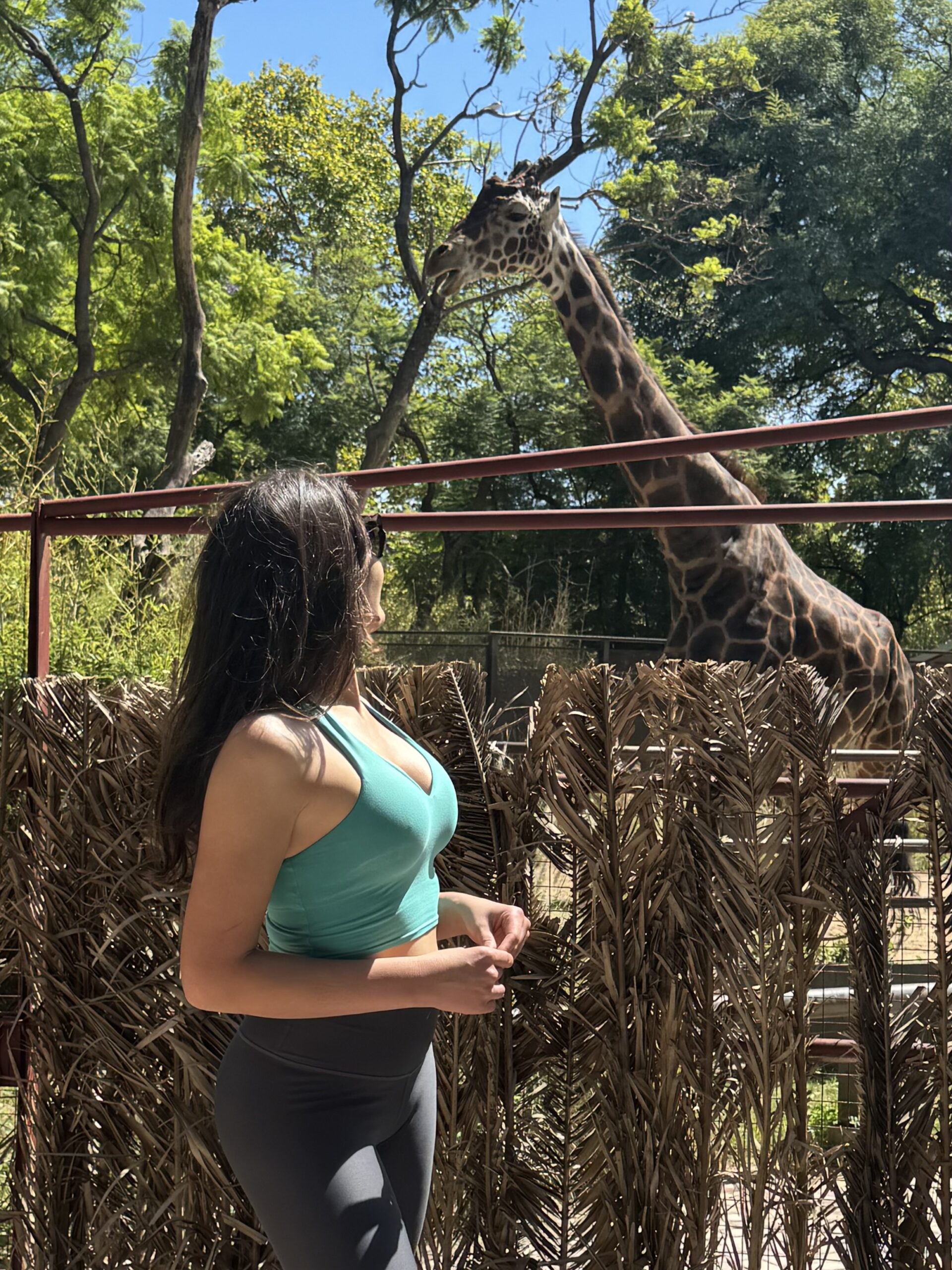 girl observing giraffe
